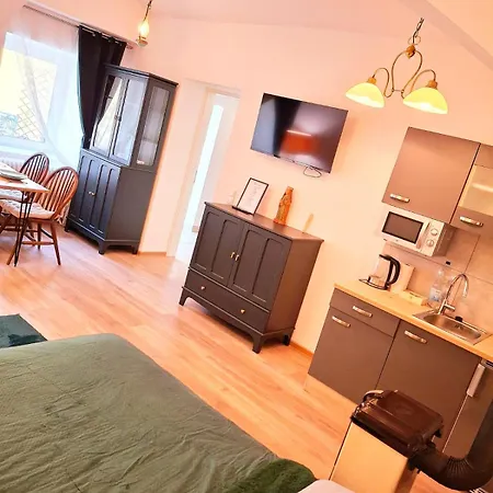 Romantic And Family Zemlinski 9,10, 11 Hotel