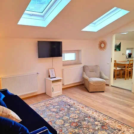 Romantic And Family Zemlinski 9,10, 11 *