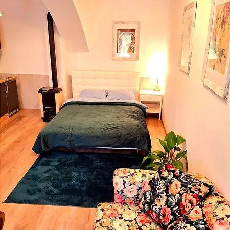 Romantic And Family Zemlinski 9,10, 11 * Payerbach