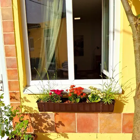 Romantic And Family Zemlinski 9,10, 11 Payerbach